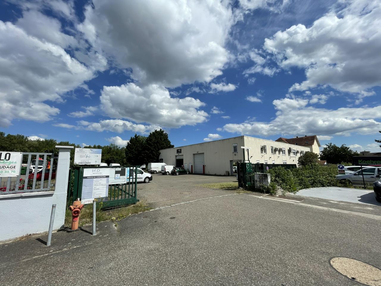Local d'activité Mundolsheim 576m² Location local d'activité Mundolsheim Bas-Rhin OLACT2423735 1